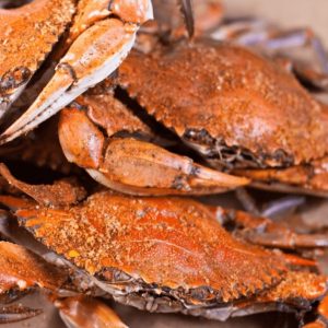 Rube's Crab Shack Gift Card & $100 Cash
